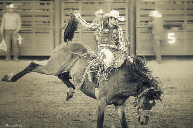 Beleef een Amerikaanse rodeo