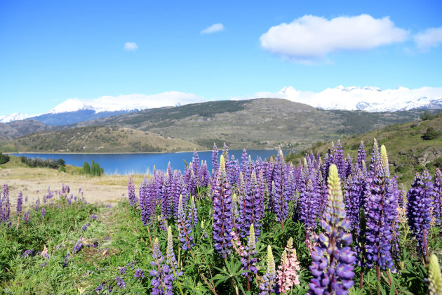 Lago General Carrera