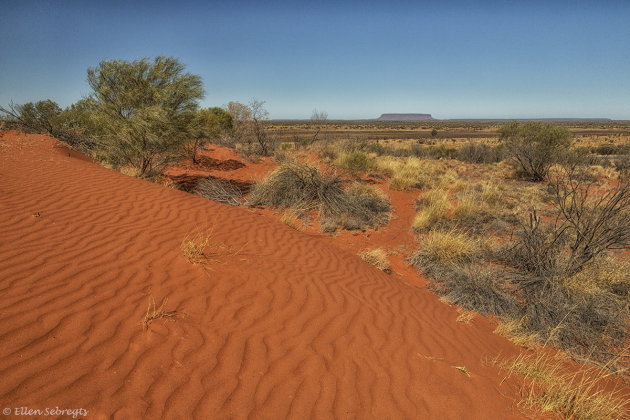 Onderweg in de outback