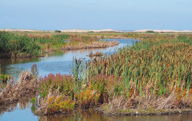 Nieuw land