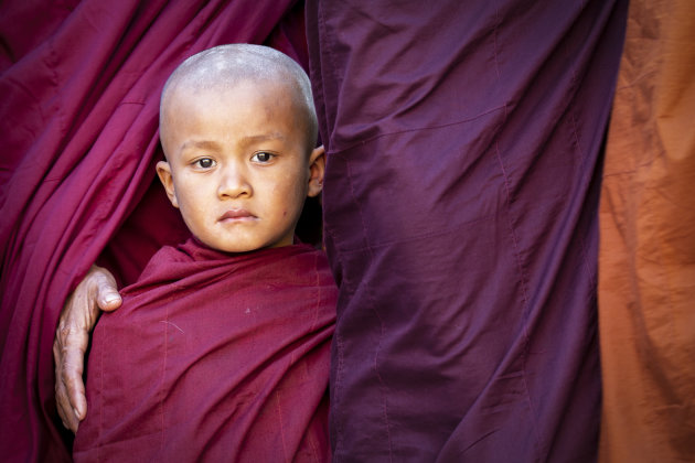 Jonge monnik bij het Ananda Festival