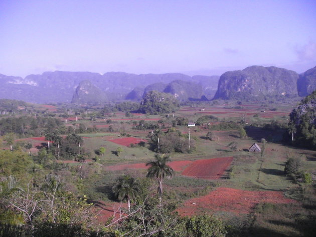 Vinales