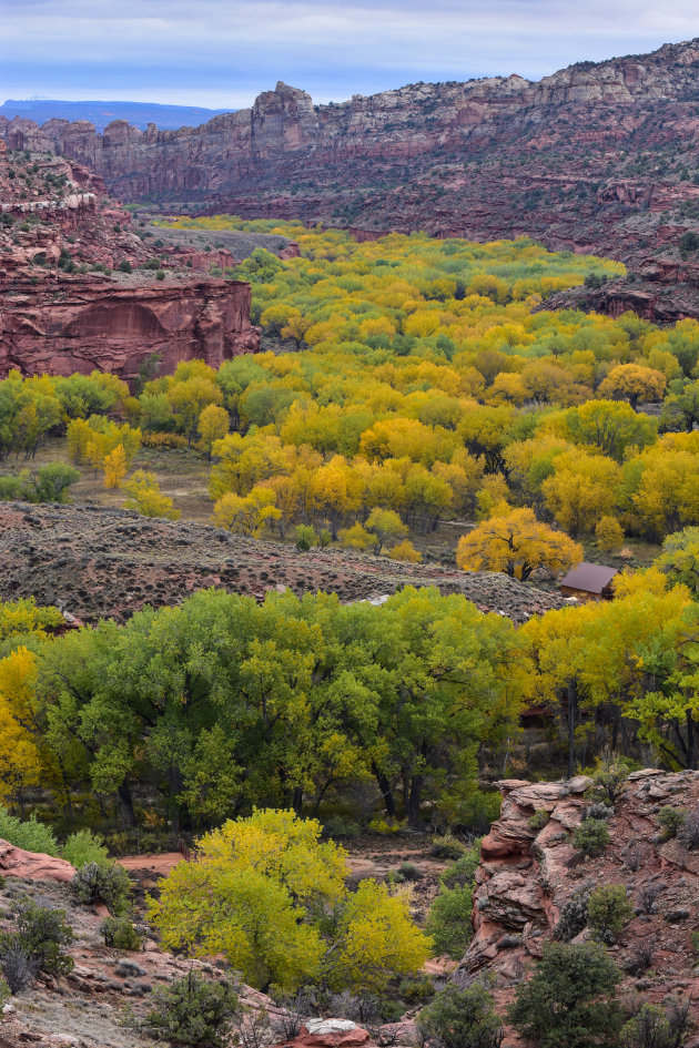 herfst in Escalante