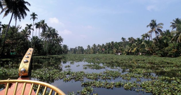 Waterplanten