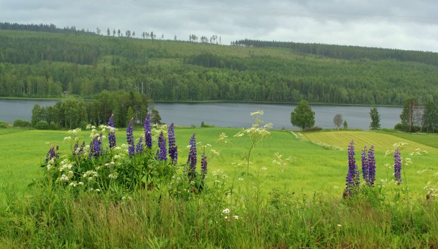 Orbaden Hälsingland