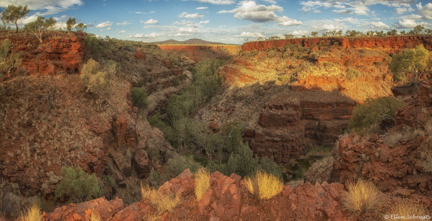 Kleurrijk Karijini