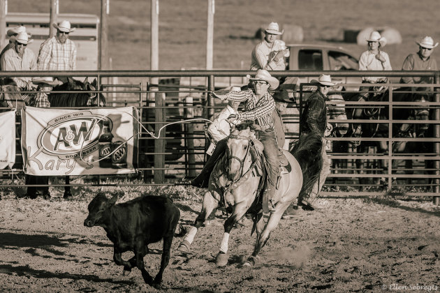 Cowgirls kijken in de VS