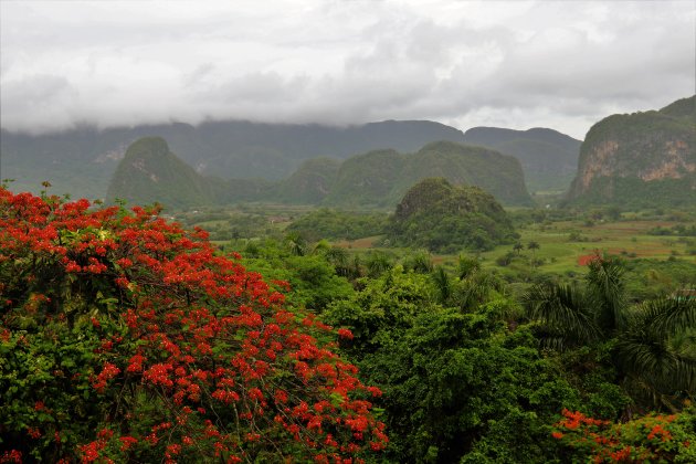 Vinales het groene hart van Cuba