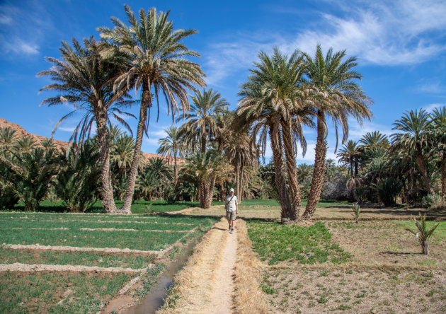 Wandelen door de oases