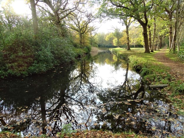 Waterpartij in Berkenbosch.