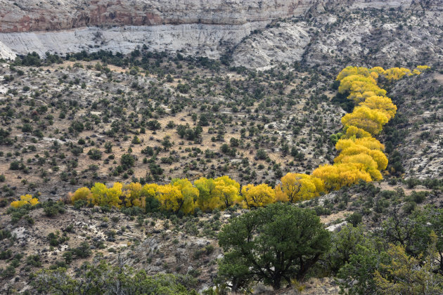 Yellow River (2)