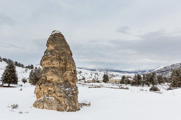 Liberty Cap