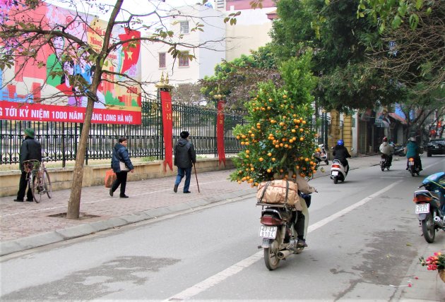Kerstboom in Vietnam.