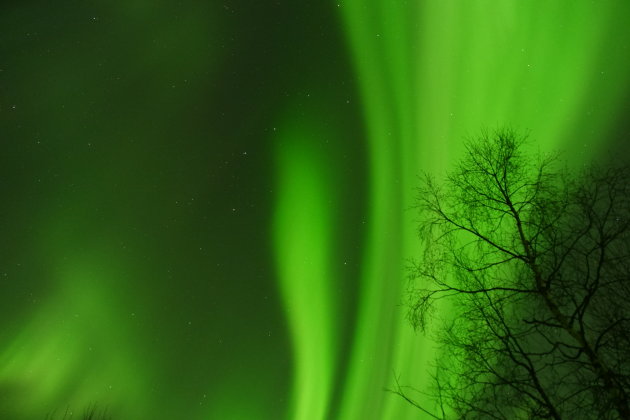 Aurora en kerstwens