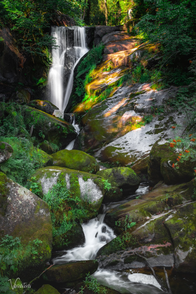 Triberg Waterval