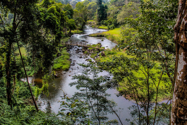 Bolaven plateau