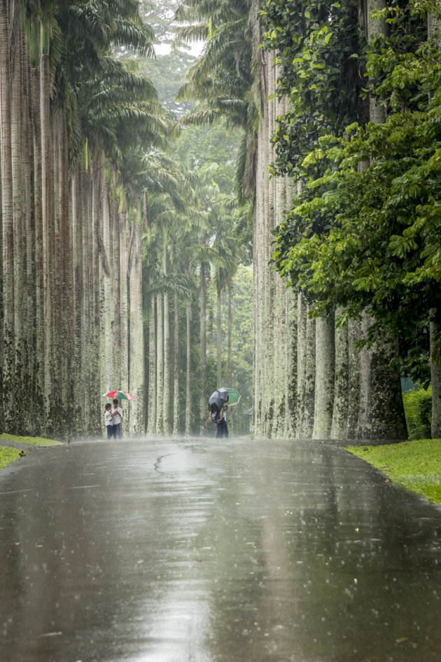 Dancing in the Rain