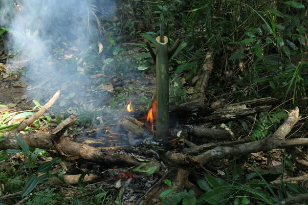 Jungle keuken