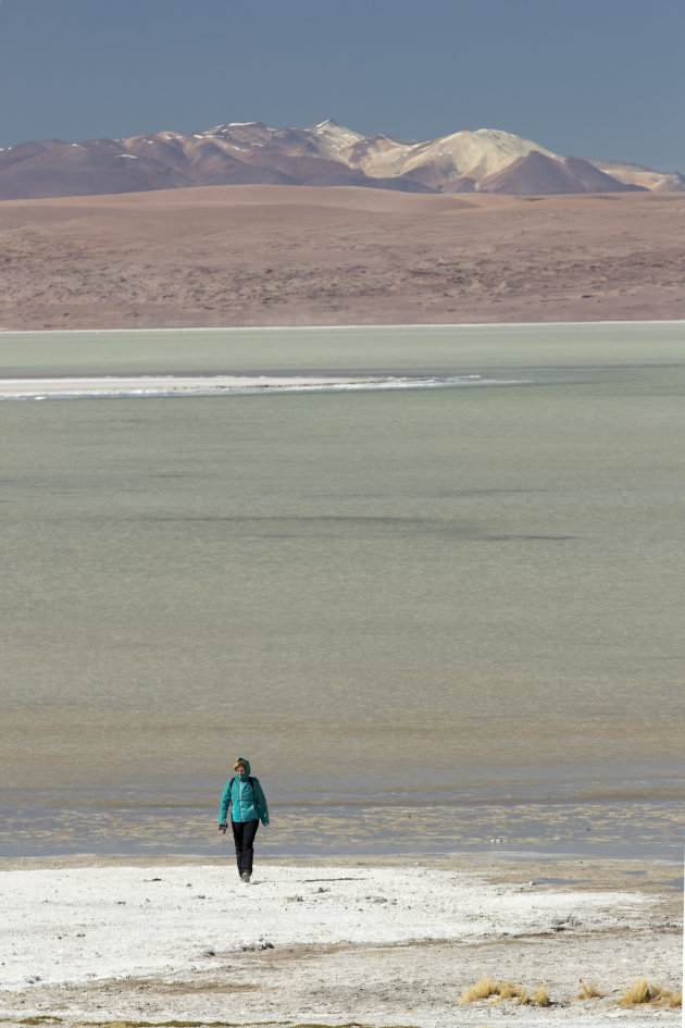 Bolivia Altiplano