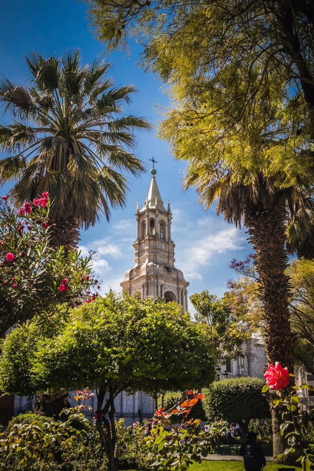 La Cathedral Arequipa