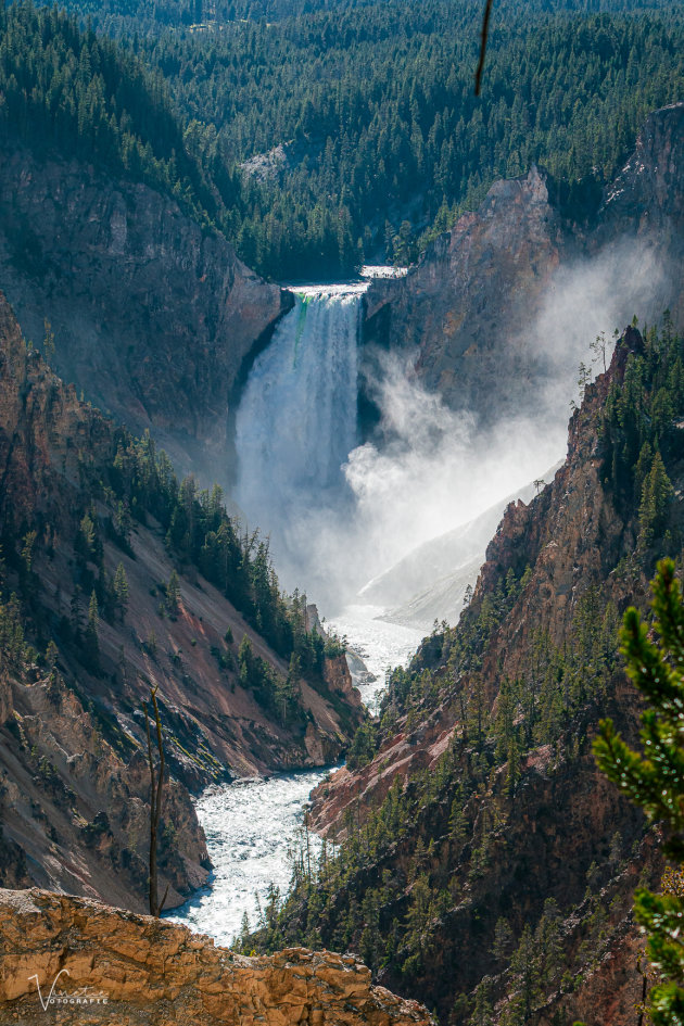 Lowerfalls Yellowstone Park