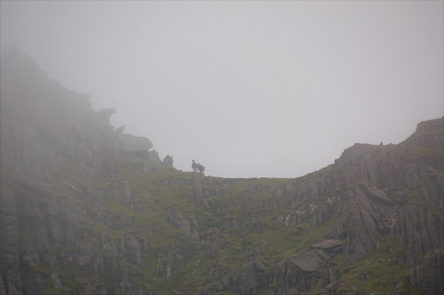 Snowdon