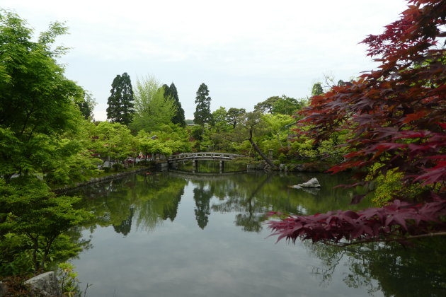 Betoverende tempeltuin