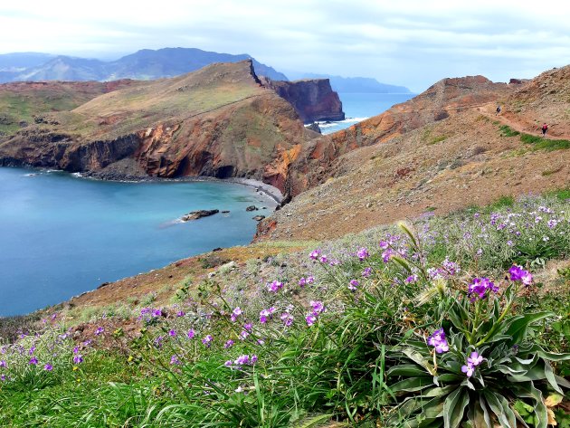 Ponta da Sao Lourenco