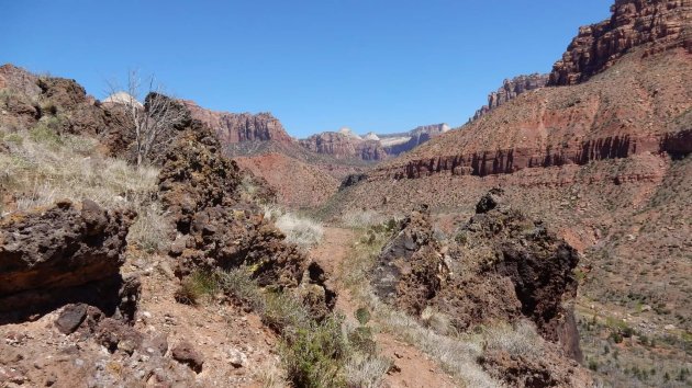 Achterkant van Zion NP