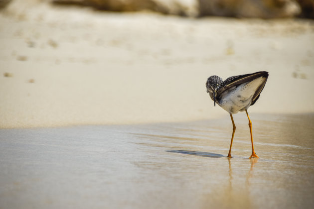 Wassend op het strand in Curaçao