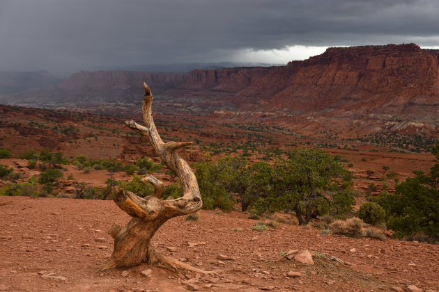 ontdek de ruigheid van Capitol Reef NP