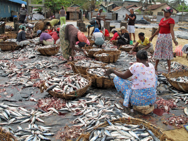 Vismarkt in Negombo