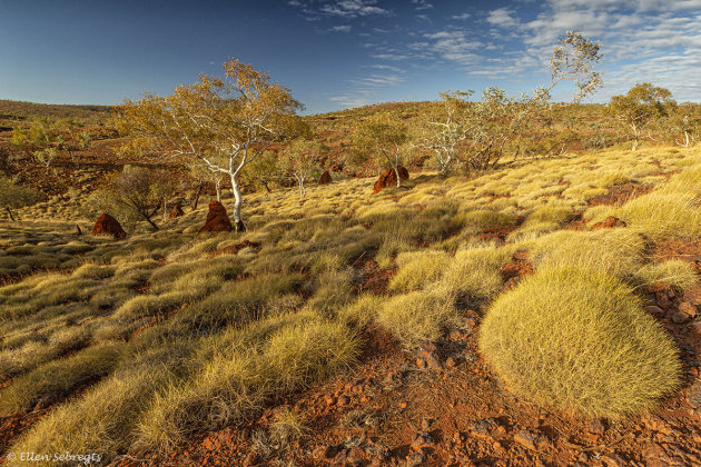 De wondere wereld die Karijini heet