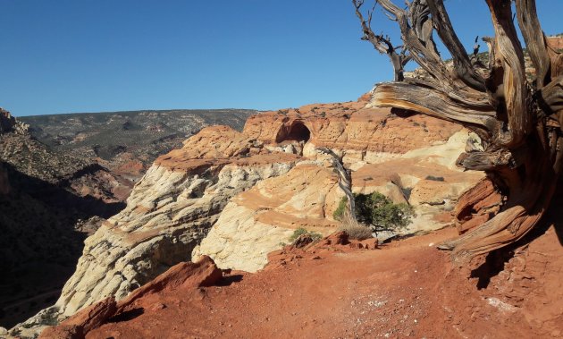 Cassidy Arch in Capitol Reef