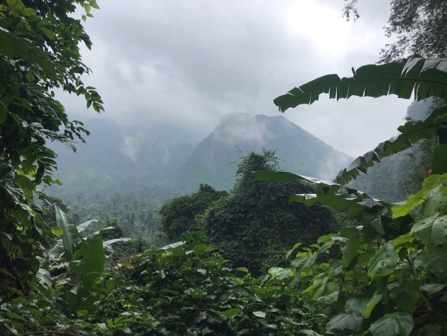 Mooi groen in Phong Nha