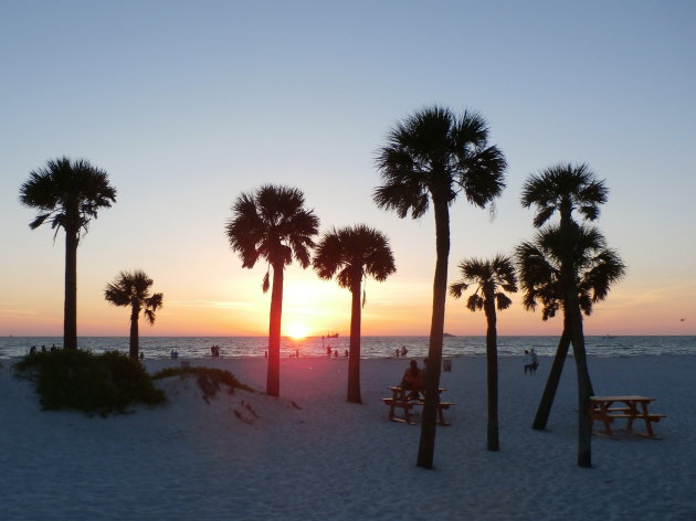 Wit strand en palmen in Clearwater, Florida