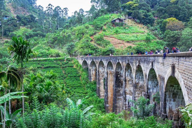 De Nine Arches Bridge