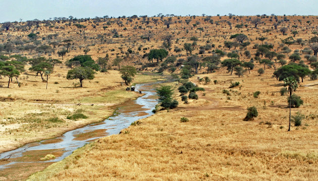 Tarangire, de levensader