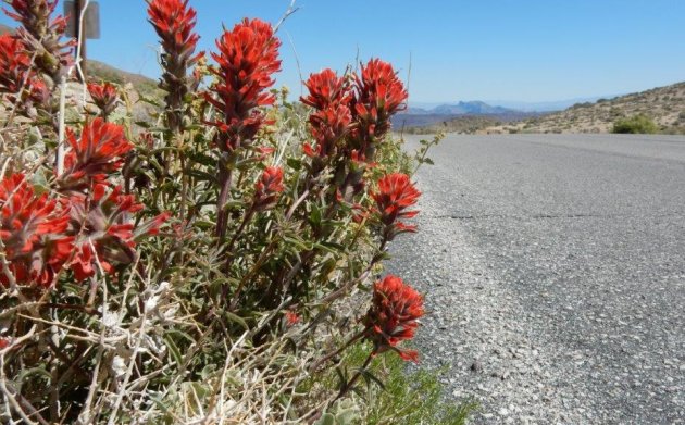 Leven in Death Valley