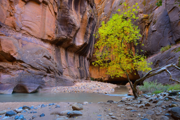 Hiking The Narrows