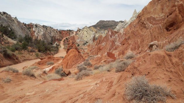 Cottonwood Canyon Road