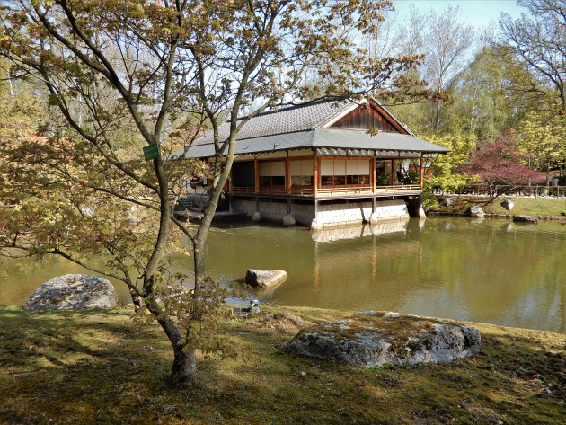 Japanse tuin