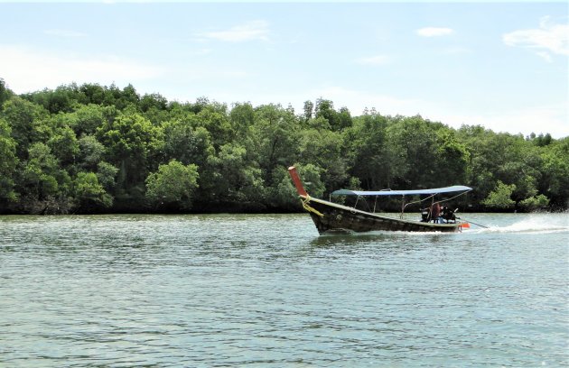 Rondvaren tussen de mangrove bossen.