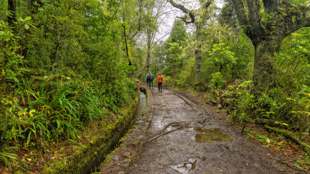 Wandelen langs levada's