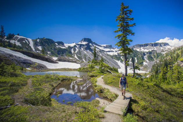 Wandelen in het North Cascades N.P.