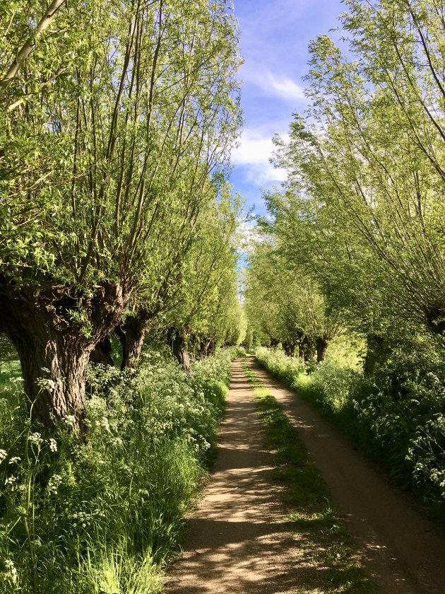 Eeuwenoud landweggetje.