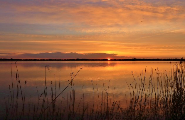 Avond over de Loenderveense plas