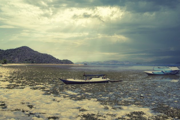 Komodo en Rinca trip