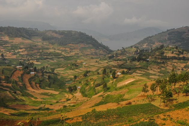 Lappendeken bij Lake Bunyonyi