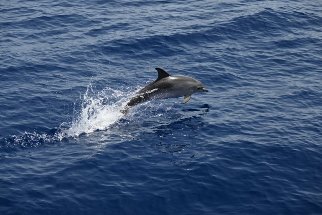 Op avontuur in Madeira